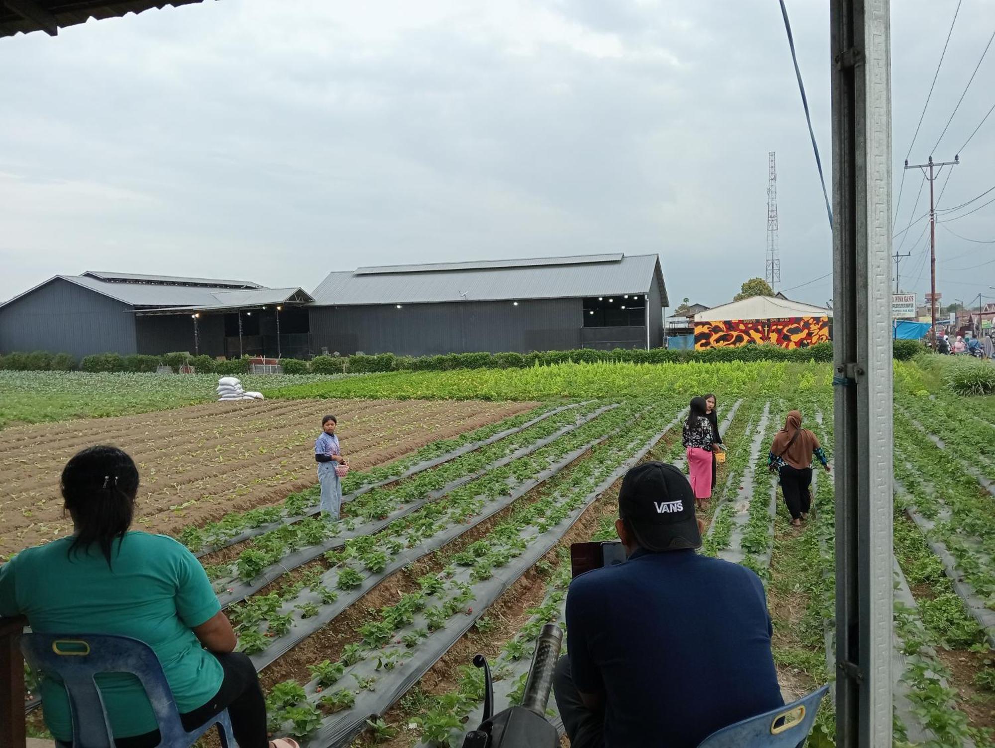 Vulkaan Homestay เบอราสตากี ภายนอก รูปภาพ