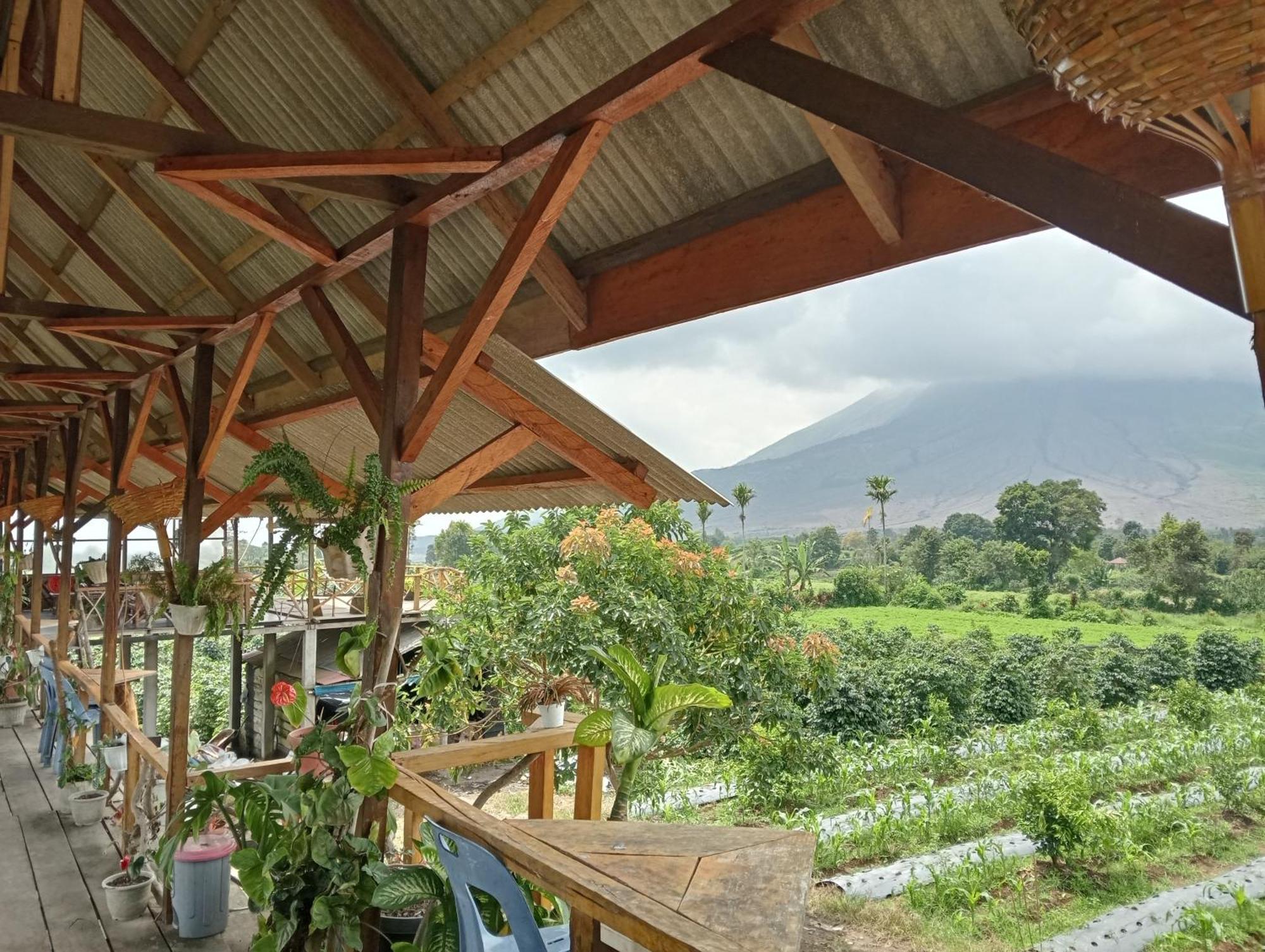Vulkaan Homestay เบอราสตากี ภายนอก รูปภาพ