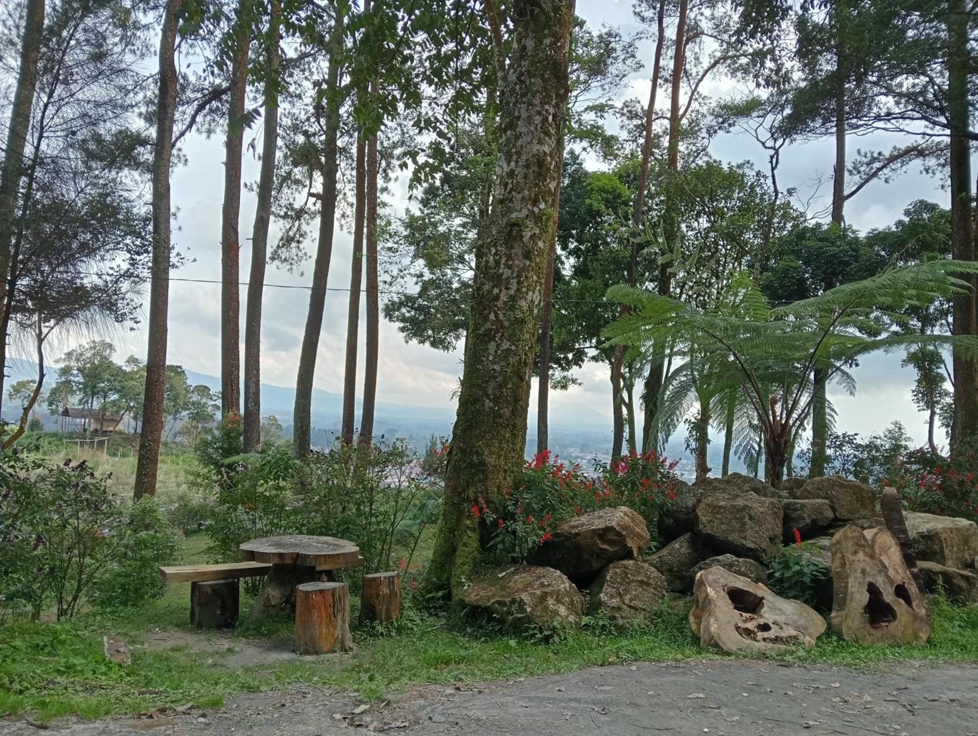 Vulkaan Homestay เบอราสตากี ภายนอก รูปภาพ