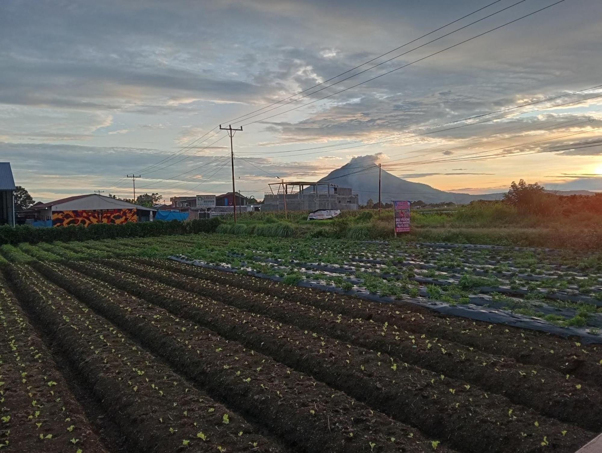 Vulkaan Homestay เบอราสตากี ภายนอก รูปภาพ