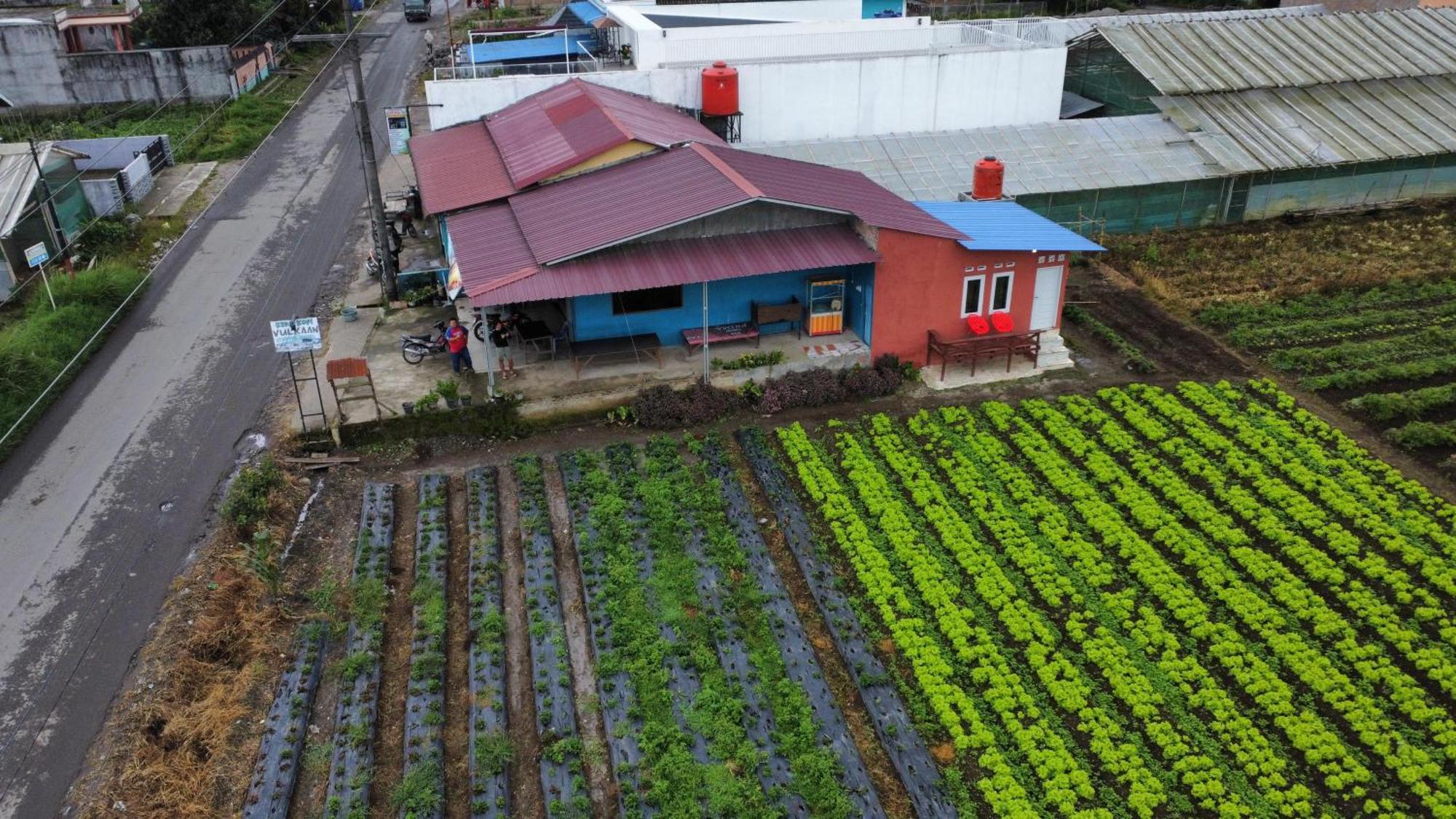 Vulkaan Homestay เบอราสตากี ภายนอก รูปภาพ
